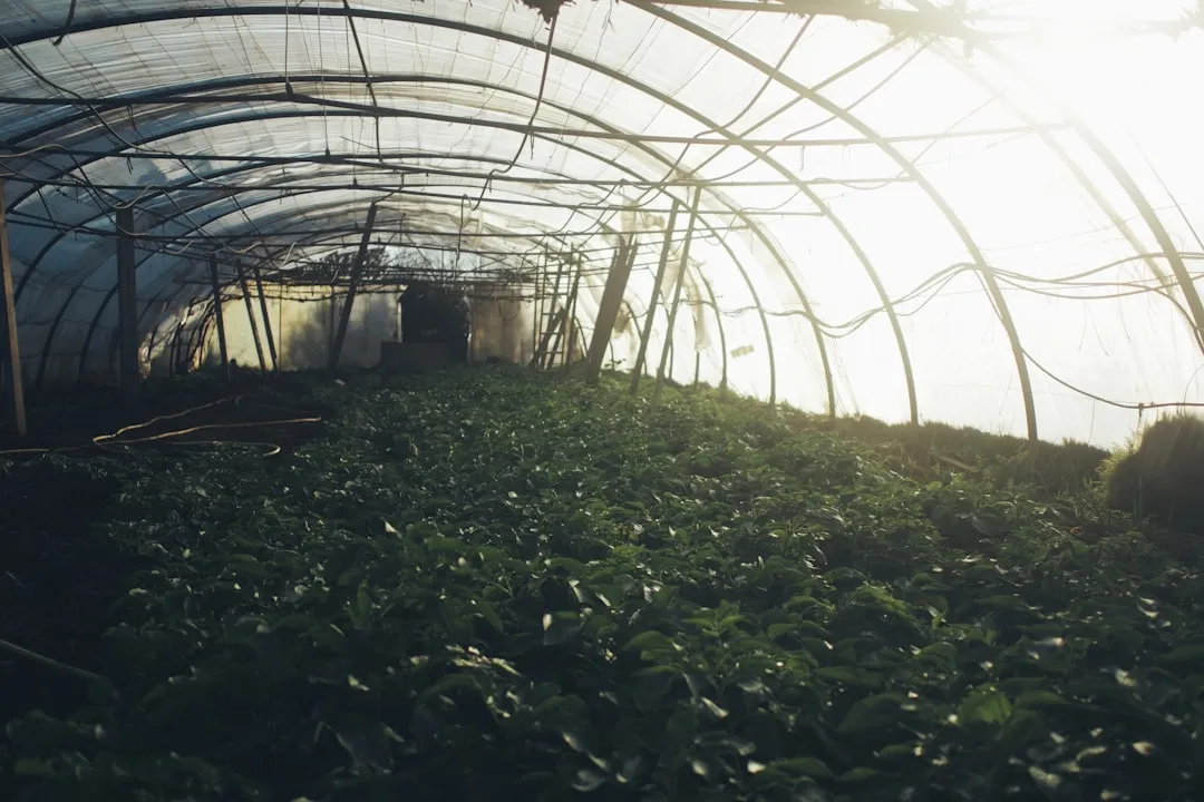 企业宣传片拍摄制作全流程解析及周期费用参考