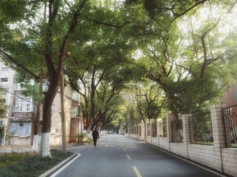 企业宣传片拍摄中的镜头语言与叙事节奏设计要点